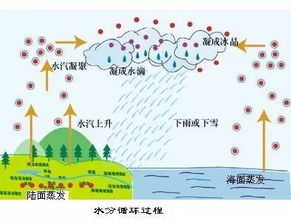 南通水循环设计方案招聘的简单介绍