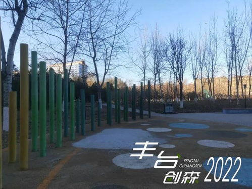 绿色步道设计方案[绿色步道设计方案怎么写]