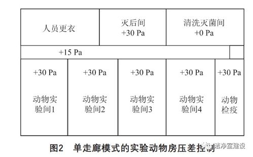 动物分子设计方案[动物实验的设计与分组方法]